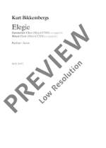 Bikkembergs, Kurt: Elegie Product Image
