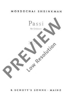 Sheinkman, Mordechai: Passi
