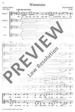Martiné, Pascal: Winterreise Product Image