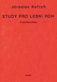 Kofron, Jaroslav: Studies