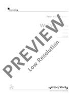 Braun, Peter Michael: Wei Wu Wei Product Image