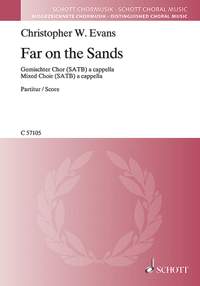 Evans, Christopher W.: Far on the Sands