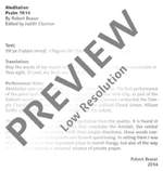 Beaser, Robert: Meditation Product Image