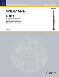 Widmann, Joerg: Elegy