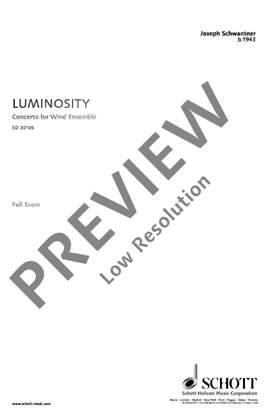 Schwantner, Joseph: Luminosity