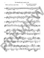 The Violin Product Image