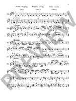 The Violin Product Image