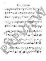The Violin Product Image