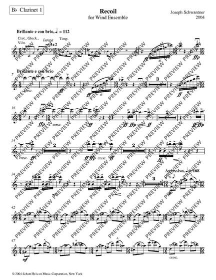 Schwantner, Joseph: Recoil