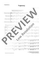 Liebman, David: Trajectory Product Image