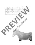 Donkey Riding Product Image