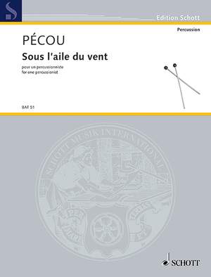 Pécou, Thierry: Sous l'aile du vent