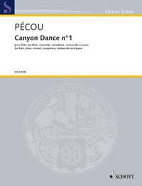 Pécou, Thierry: Canyon Dance n°1