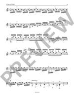Mertz, Johann Kaspar: Concert Works 6 Product Image