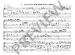 Scheidemann, Heinrich: Complete Organ Works Band 8 Product Image