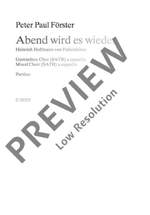 Foerster, Peter Paul: Abend wird es wieder Product Image