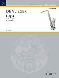Vlieger, Henk de: Elegia