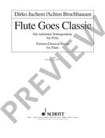 Flute goes Classic Product Image
