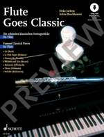 Flute goes Classic Product Image