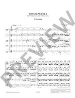 Allers, Hans-Guenther: Sonata Piccola op. 80 Product Image
