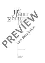 Pauer, Jiří: Schwanengesang Product Image