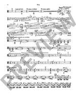 Castelnuovo-Tedesco, Mario: 2. Concerto in C op. 160 Product Image