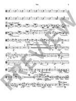 Castelnuovo-Tedesco, Mario: 2. Concerto in C op. 160 Product Image