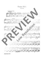 Ivanovici, Iosif: Carmen Sylva Product Image