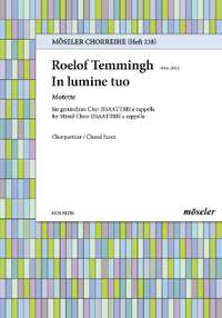 Temmingh, Roelof: In your light 238