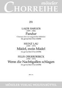 Bárdos, Lajos / Lau, Heinz / Oberborbeck, Felix: Pandur 251