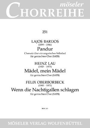Bárdos, Lajos / Lau, Heinz / Oberborbeck, Felix: Pandur 251