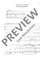 Léonard, Hubert: Capricho espagñol op. 58 Product Image