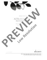 Altblockflöten-Konzertbuch Product Image