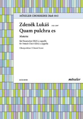 Lukáš, Zdeněk: How beautiful you are 505