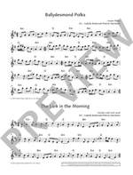 The Irish Flute Book Product Image