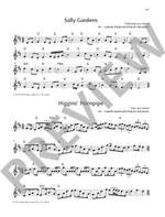 The Irish Flute Book Product Image
