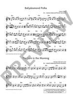 The Irish Flute Book Product Image