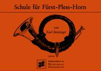 Benzinger, Karl: Schule für Fürst-Pless-Horn