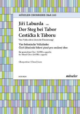 Laburda, Jiří: The footbridge near Tabor 210