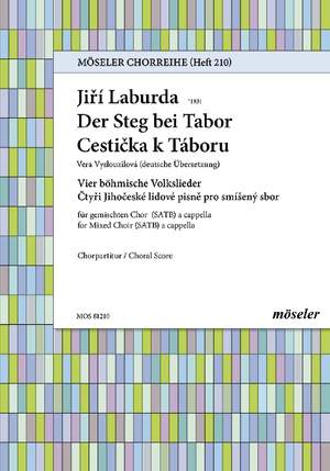 Laburda, Jiří: The footbridge near Tabor 210