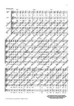 Selle, Thomas: St John Passion 26 Product Image