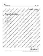 Vollmer, Ludger: Transformations Product Image