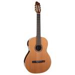 Godin Collection Nylon String Guitar Product Image