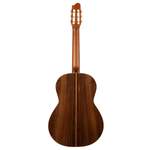 Godin Collection Nylon String Guitar Product Image