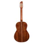 Godin Concert Nylon String Guitar Product Image