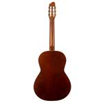 Godin Etude Clasica II Nylon String Electro Guitar Product Image