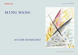 Wang, M: Aus der Dunkelheit