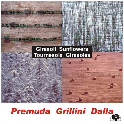Girasoli