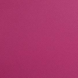 BAM L'Étoile Hightech Adjustable French Horn Case Raspberry Red
