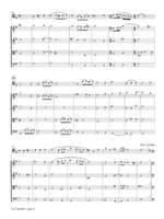Barbara Strozzi: La Vendetta for Bassoon and String Quartet Product Image